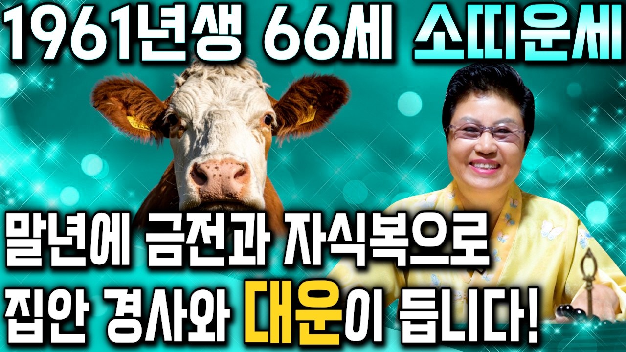 소띠 눈물난다..! 2026년 1961년생 66세 소띠운세 내가 61년생 소띠라면 2026년 99% 대박납니다! 61년생 소띠의 운명과 신년운세 /2026년 병오년 66세 소띠운세