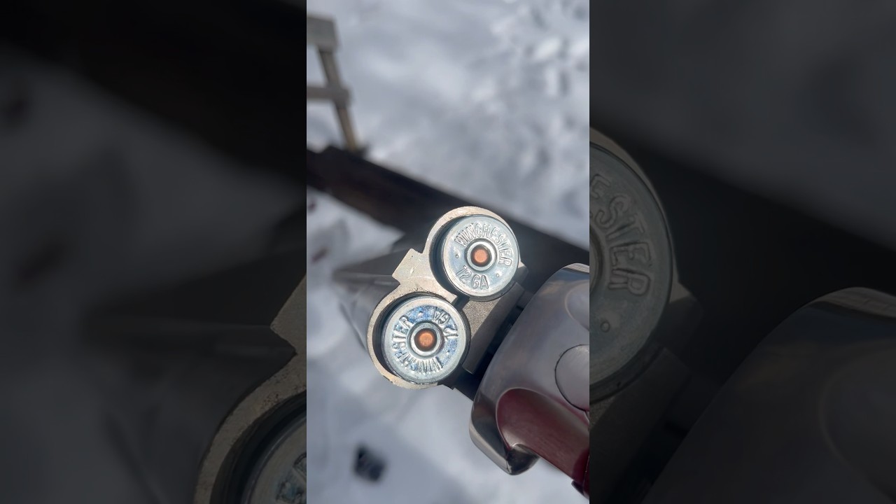 Stoeger Coach Gun