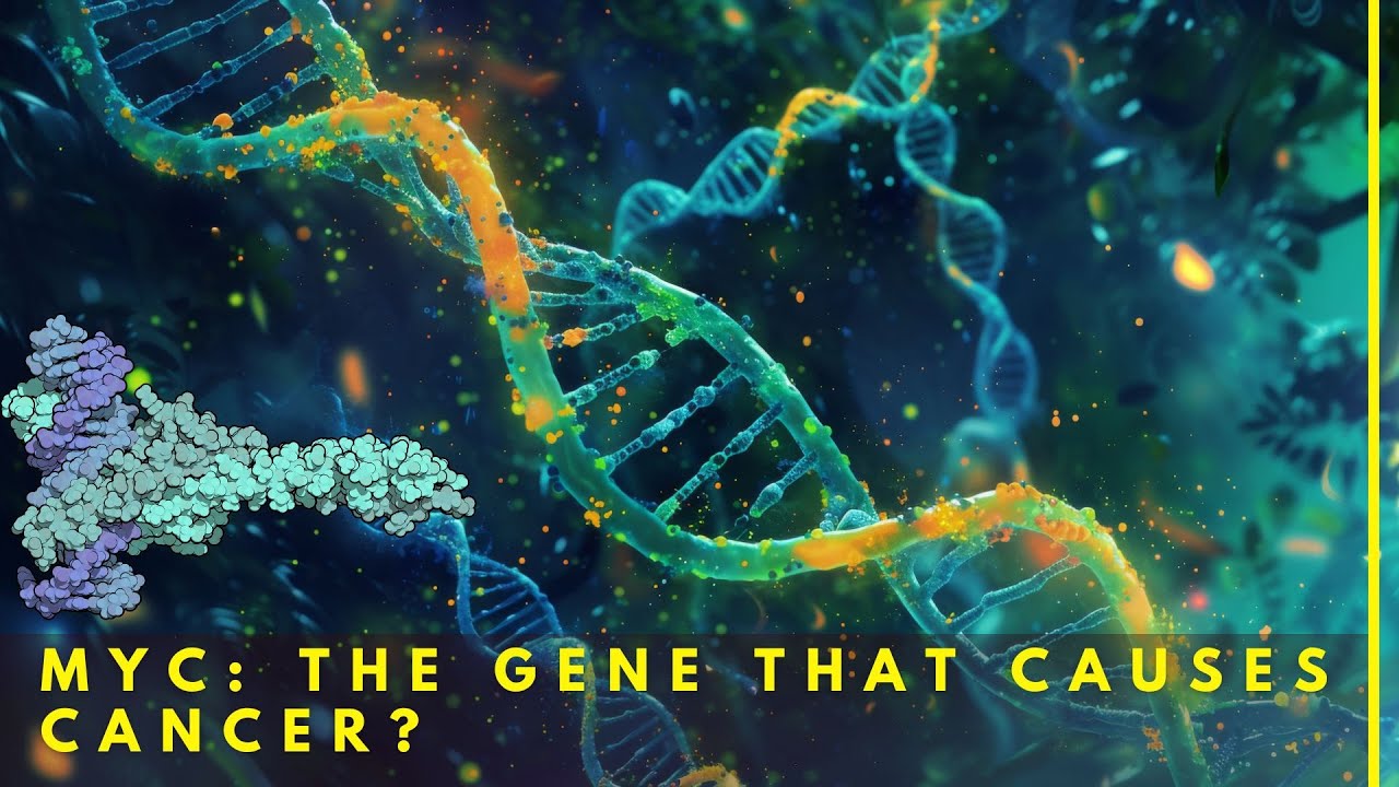 MYC: The Gene That Can Cause Cancer