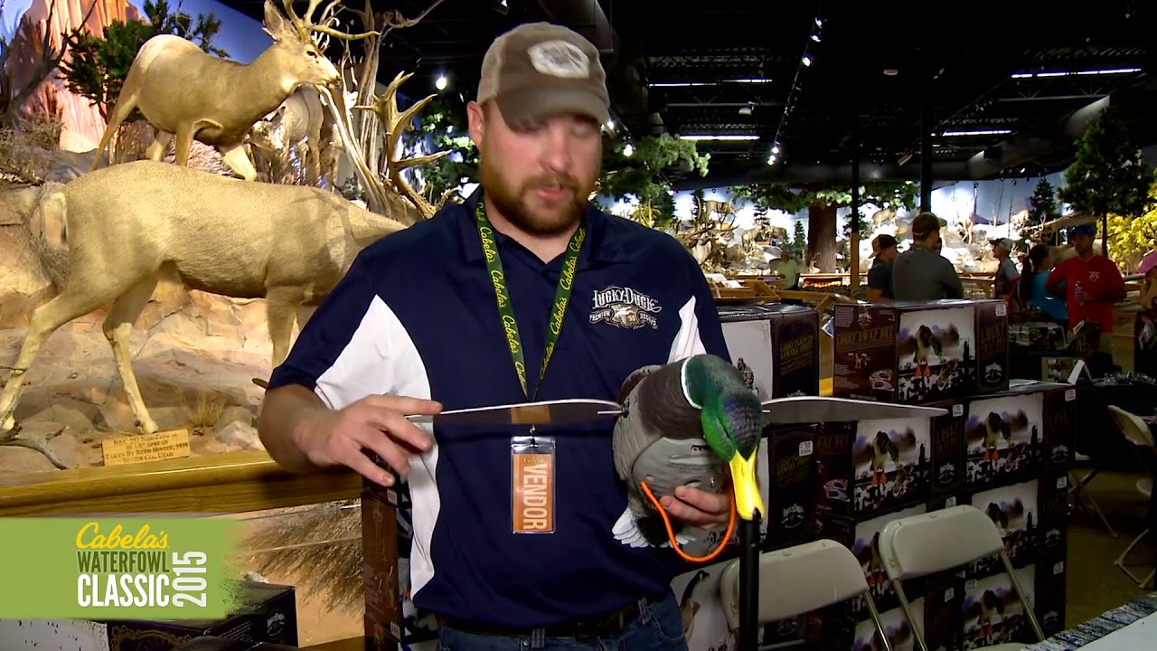 Lucky Duck Lucky HD with Remote