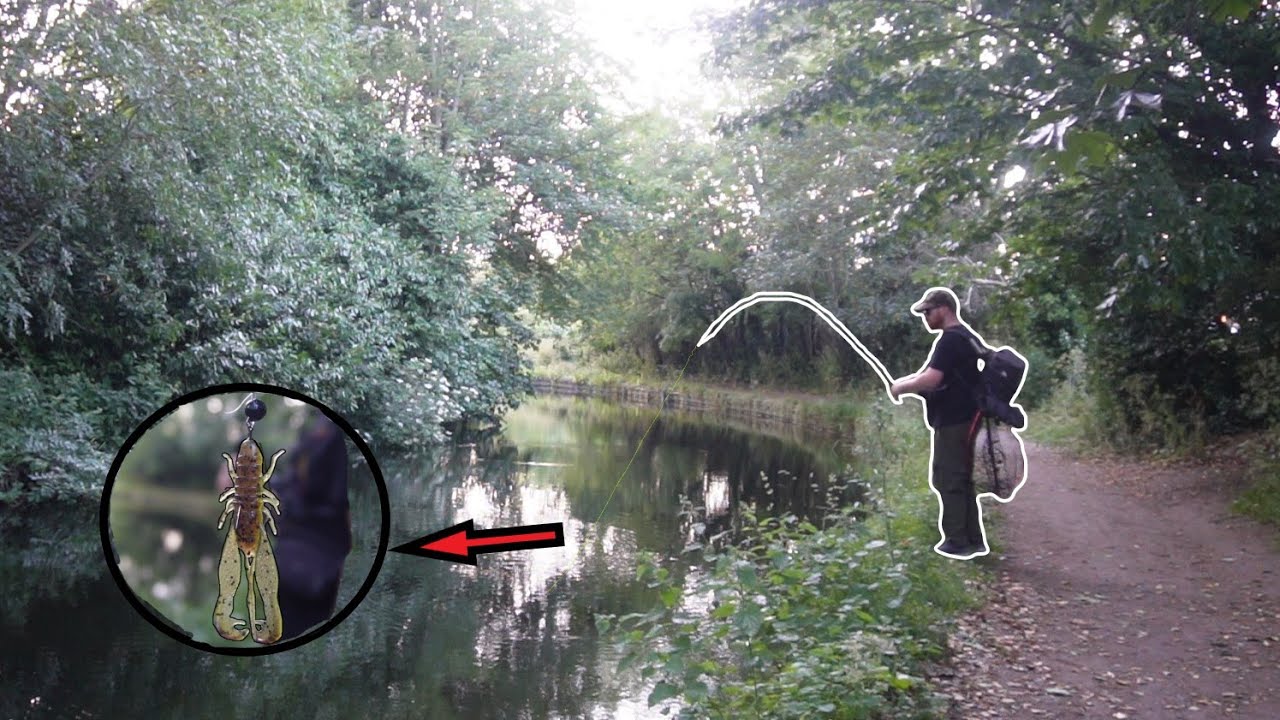 This Could Be The Biggest Of The Year! Canal BFS!