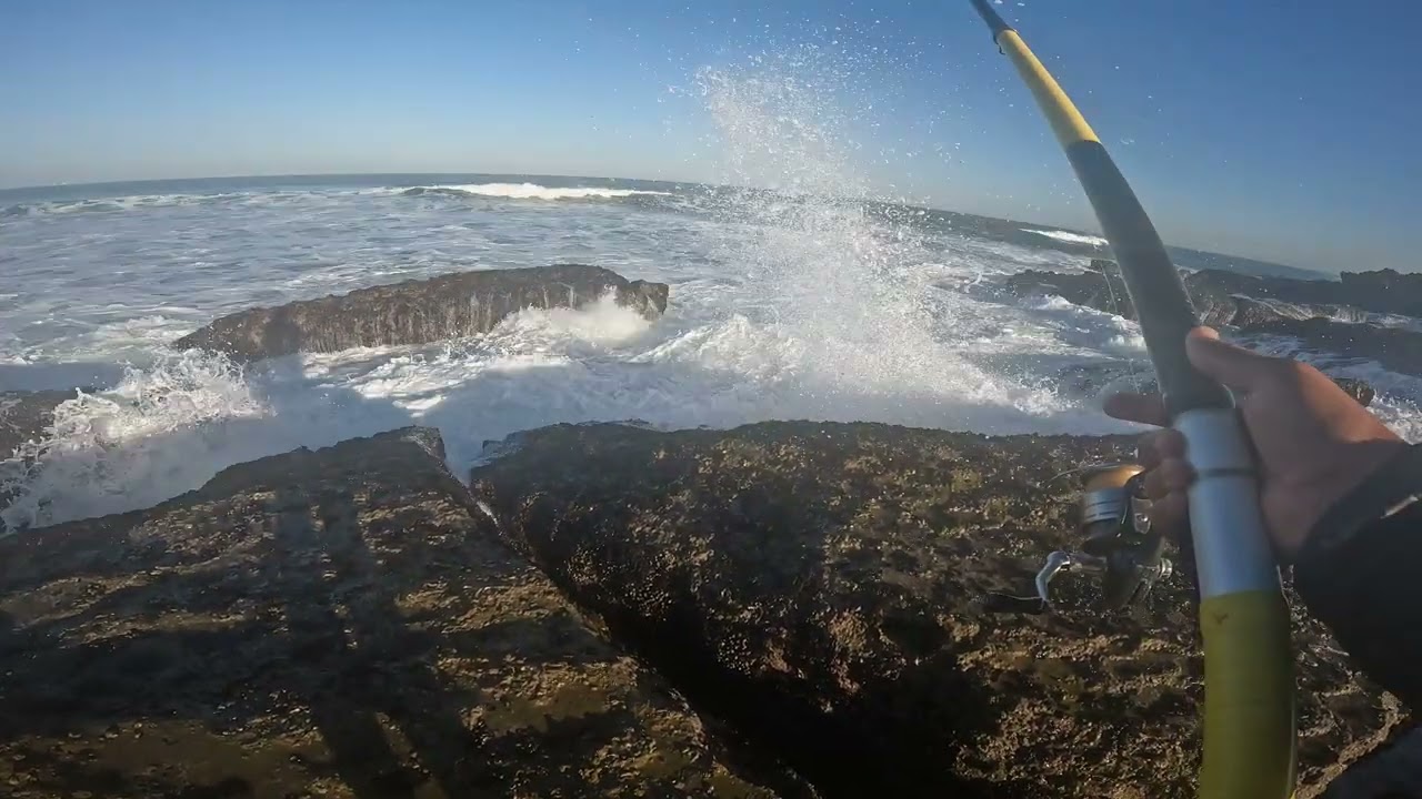 تسراب البيلوطة على طريقة التشحاط 🎣🎣🎣🎣🔥🔥