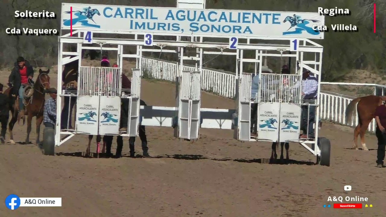 La Solterita vs La Regina Carril Agua Caliente 01/02/2026
