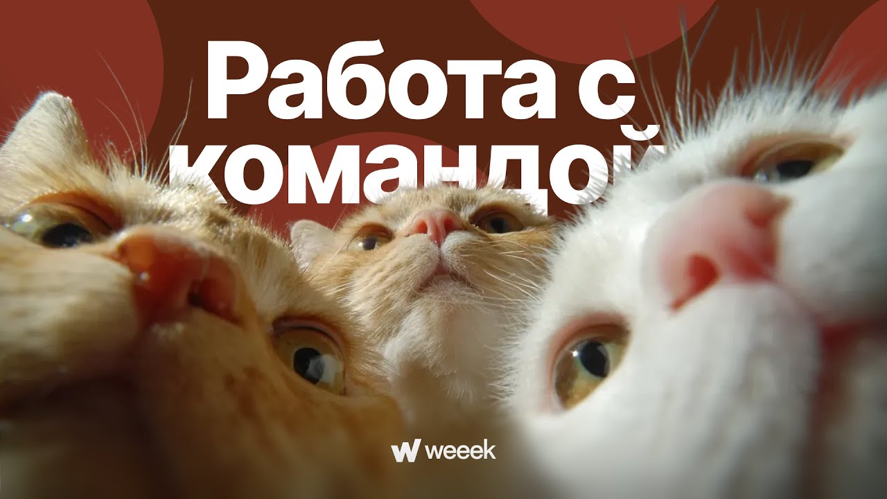 Как приглашать и управлять командой. Серия 2