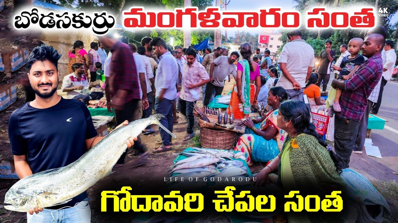 🌴 కోనసీమలో వారపు సంత || 🦐🐟 Fish Market 🦀 Weekly market || Bodasukurru Santha #market #santha