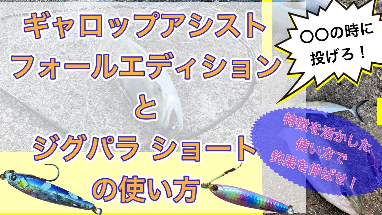 【ショアジギング】ギャロップアシスト フォールエディション&ジグパラ ショートの使い方（青物）〜特徴を活かした使い方で釣果を伸ばせ！〜