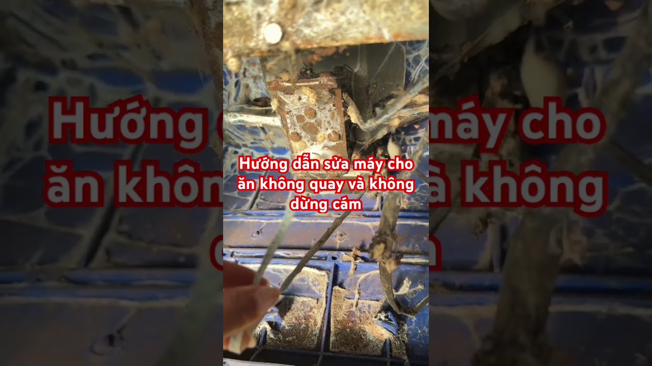 Máy cho ăn không quay và không dừng cám thì phải làm sao? 