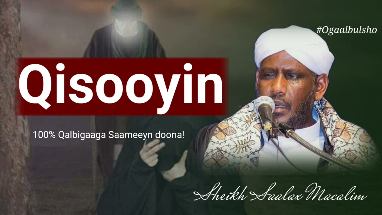 Qisooyin 100% Ku Cibro Qaadasho Mudan || Sh. Saalax Macalim