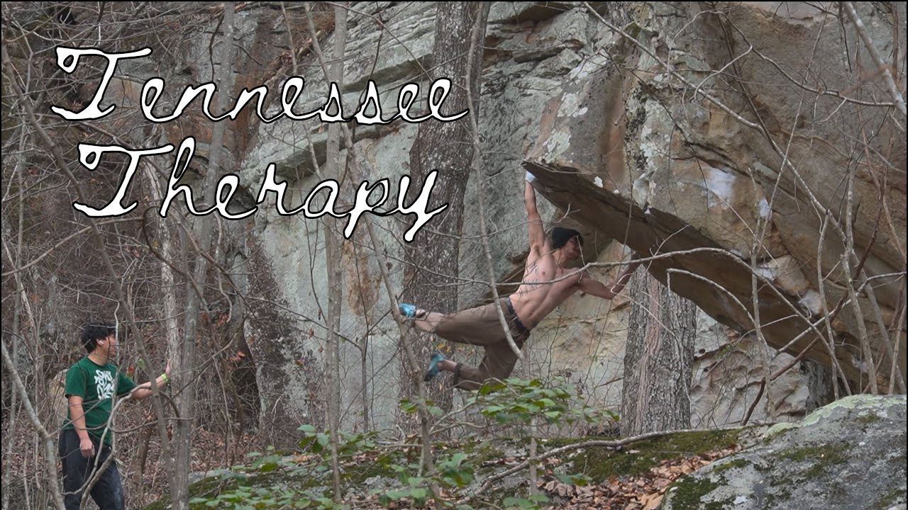 Tennessee Therapy