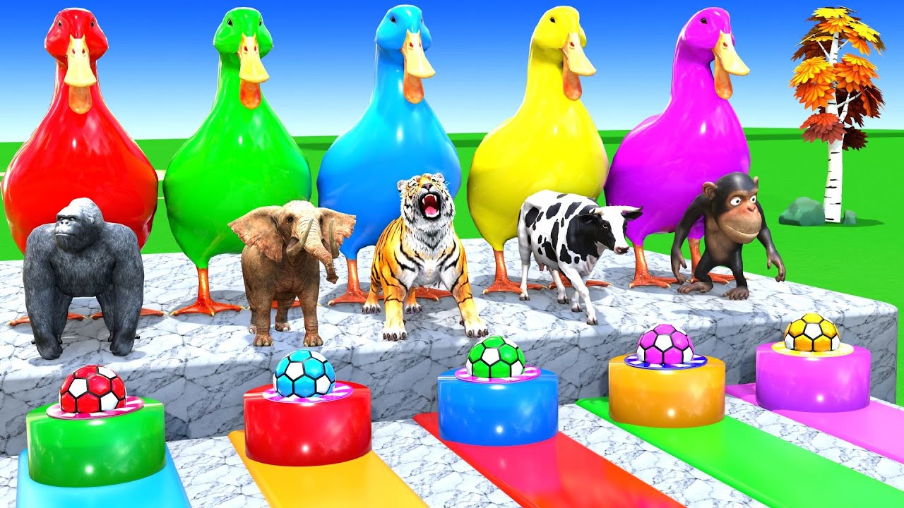 Long Slide Game With Cow Elephant Gorilla Hippopotamus Tiger 3d Animal Game Funny 3d Animals