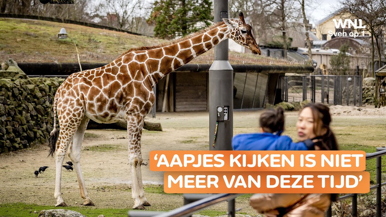 Straks alleen nog virtuele dieren in ARTIS? Als het aan de PvdD ligt wel
