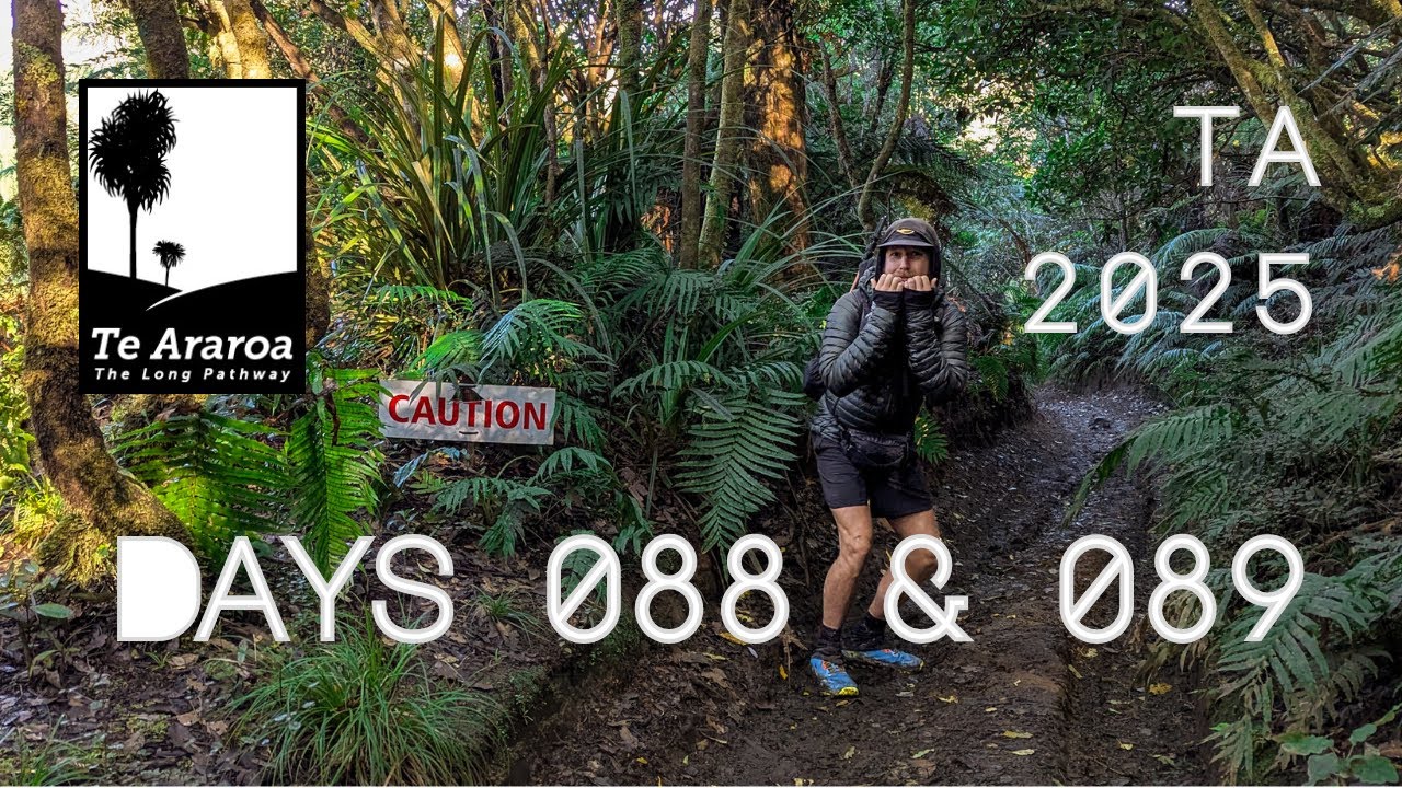 Days 088 & 089 - Waione Cokers Track \ 42 Traverse \ Owhango \ Taumarunui - Te Araroa NOBO 2025