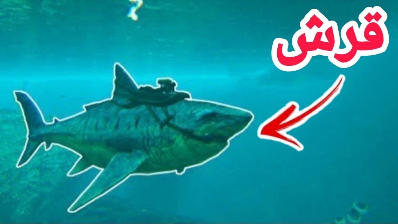 ارك الجوال #18 ترويض القرش !!؟ megalodon taming