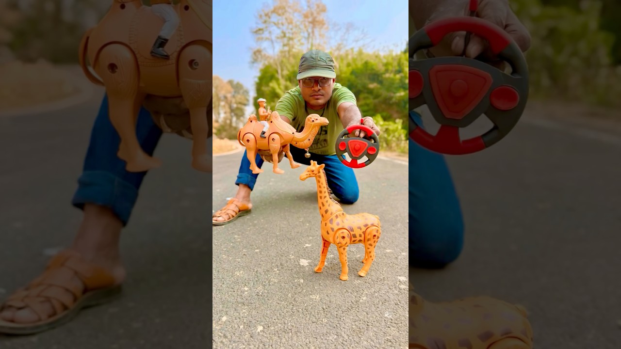 Rc Remote Control 1 Ta Camel And 1 Ta Giraffe 🦒 Unboxing