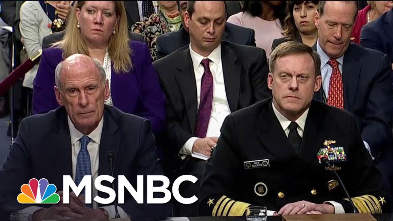 Trump Officials Refuse To Answer Senate Questions About Donald Trump | Rachel Maddow | MSNBC