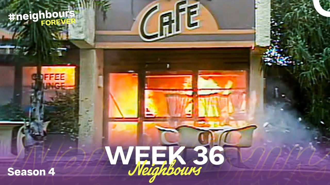 Week 36 | Episodes 813-817 | Neighbours 1988 (Season 4)
