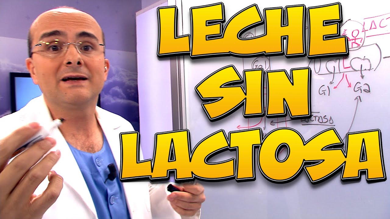 LECHE SIN LACTOSA, ¿Qué es? ¿Quién la debe tomar? - Enciclopedia de los Alimentos #09