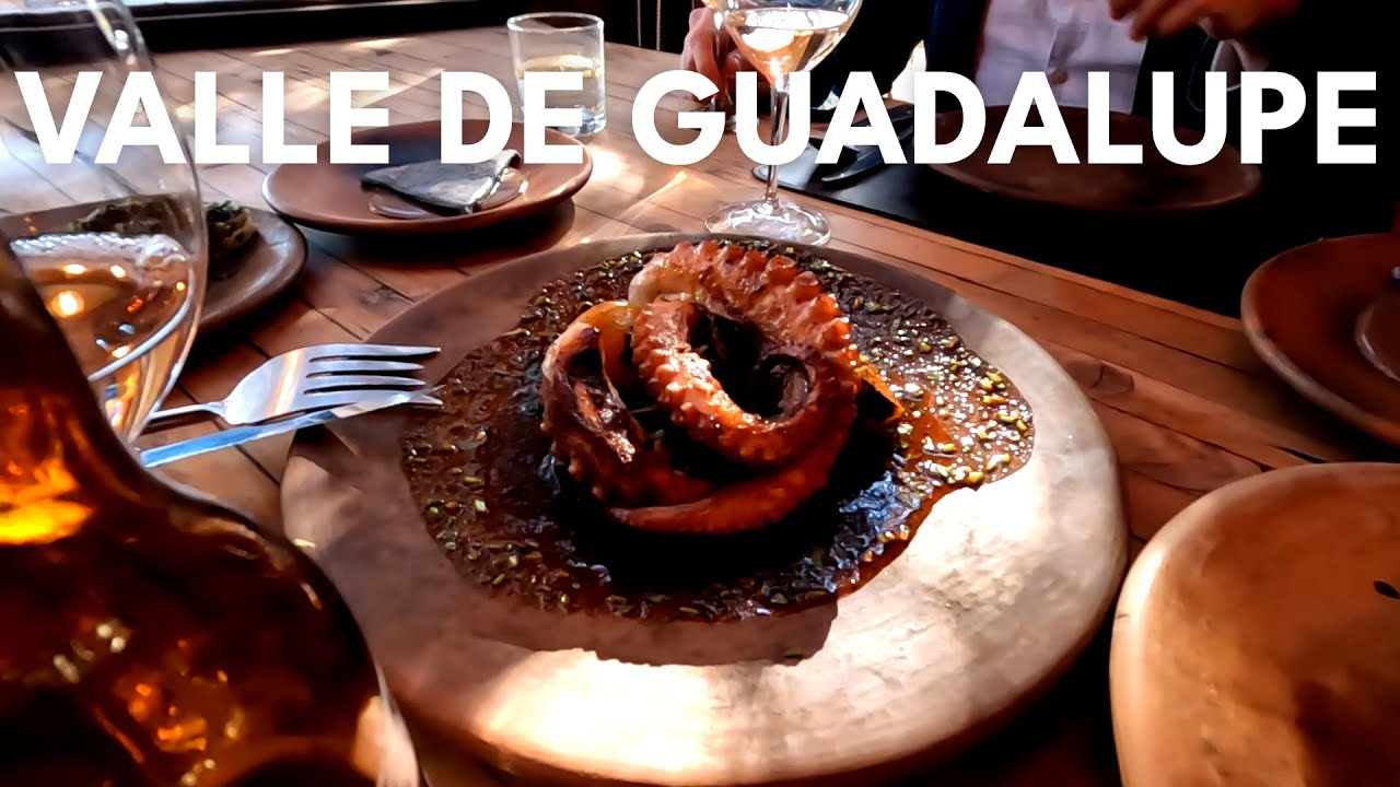 VALLE DE GUADALUPE &mdash; Best Wineries (Vena Cava & Fauna) + How Much It Costs 🇲🇽