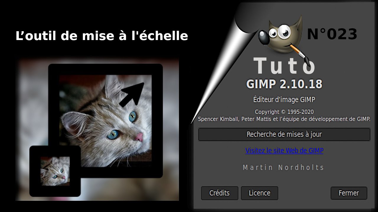 Tuto Gimp 2 10 20 pour débutant  023  L’outil de mise à l’échelle