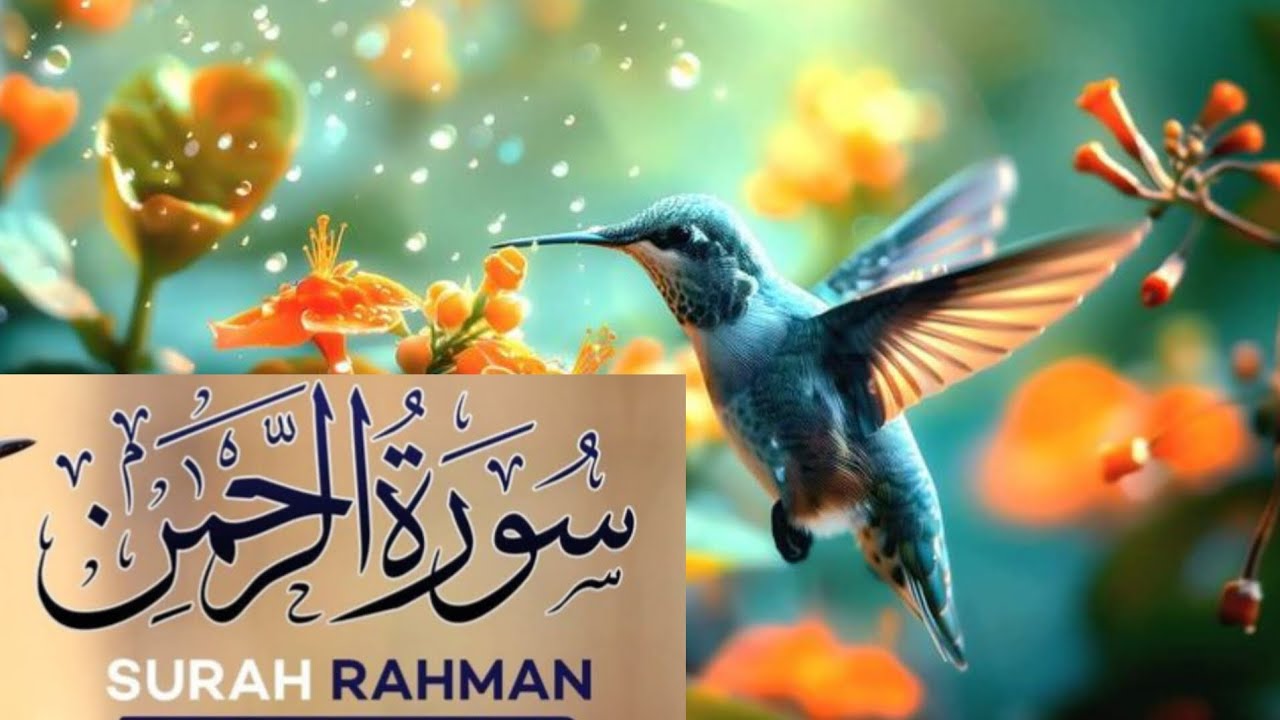 Surah Ar-Rahman  Epc.0008| TheMost Beautiful & Heart Touching Quran Recitation for Peace ❤❤❤ 