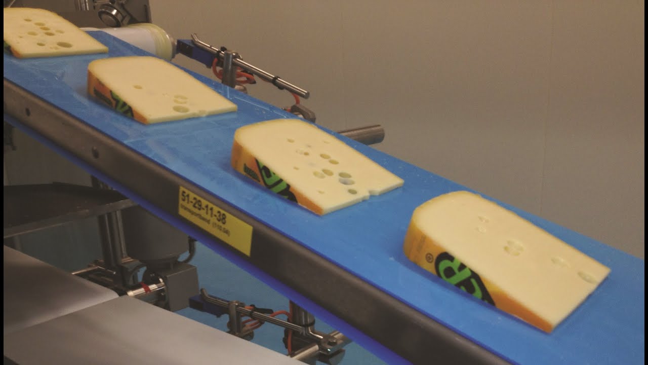 Food Industry Solutions | Dairy - Conveyor Belts by Volta Belting