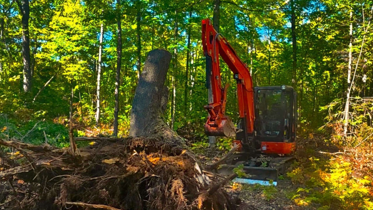 UNCUT - Kubota KX040-4 Excavator  – Big Tree & Stump Clearing - Road Building Day 14