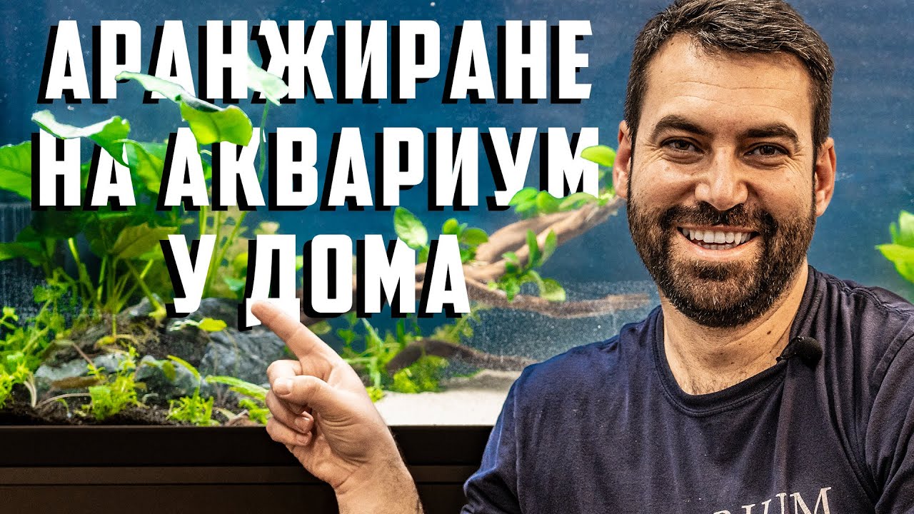 НАШАТА УСЛУГА - АРАНЖИРАНЕ НА АКВАРИУМ