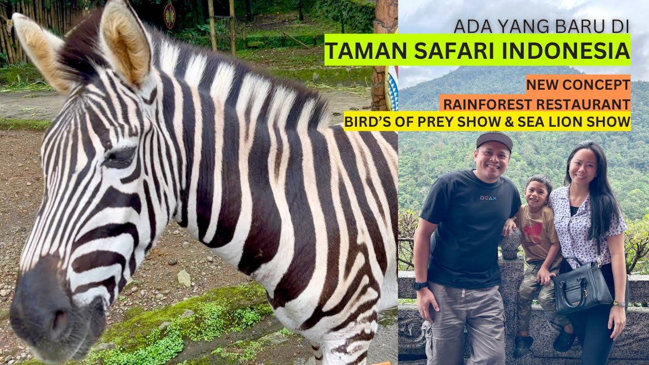 ADA YANG BARU di Taman Safari Indonesia 2023 - NEW RESTAURANT, BIRD'S OF PREY SHOW & SEA LION SHOW