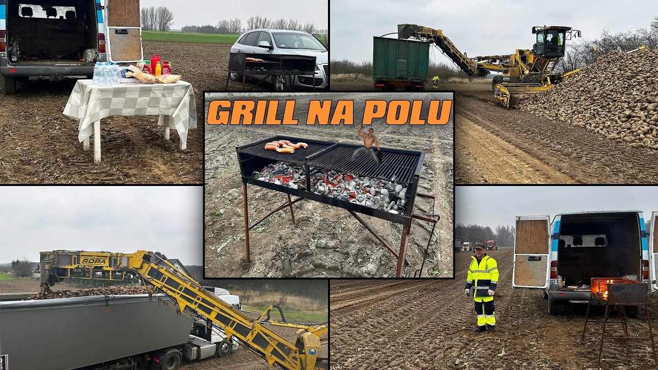 #VLOG AGRO KOJOT GRILL-uje  na polu/Ostatnie pryzmy buraków cukrowych Odbiór/Mieciu za sterami Myszy
