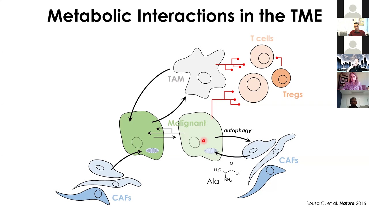 Lurie Cancer Center Basic Research Seminar: Metabolic Networks in the Tumor Microenvironment