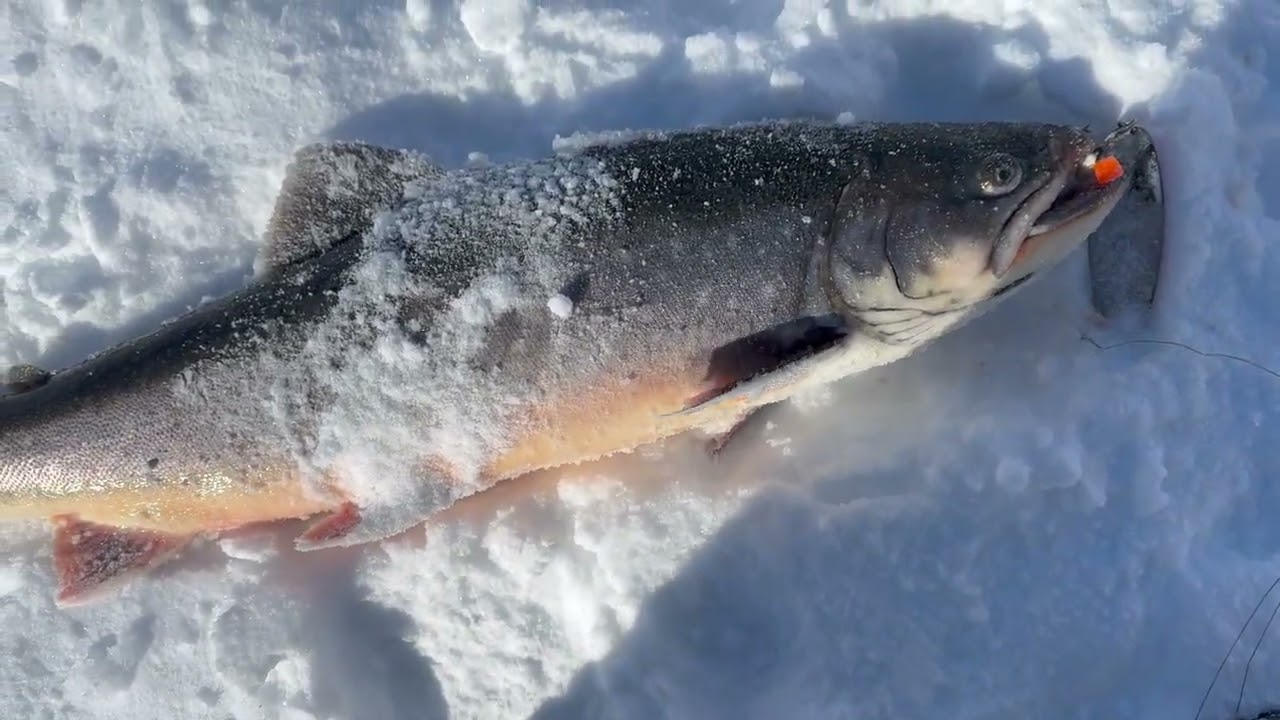 Ice fishing day trip with my hunny