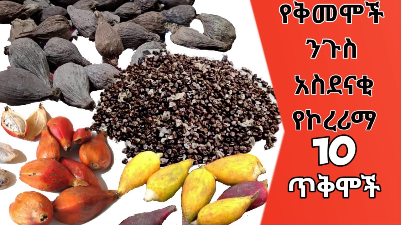 አስደናቂ 10 የኮረሪማ የጤና ጥቅሞች | የቤት ውስጥ ስራ | ልዩ ቀላል ቆንጆና ምርጥ አሰራር | Ethiopian Food Recipe | ቀላልና ጤናማ ምግቦች
