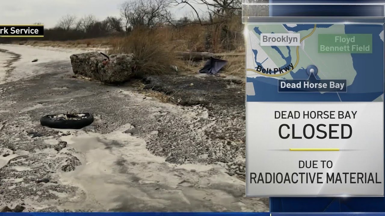 BARREN ISLAND,DEAD HORSE BAY. Brooklyn