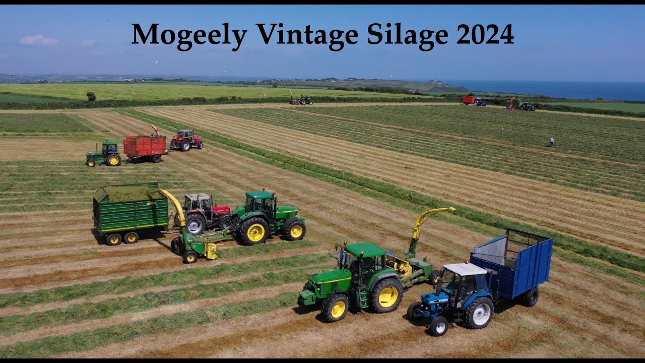 Mogeely Vintage Silage 2024