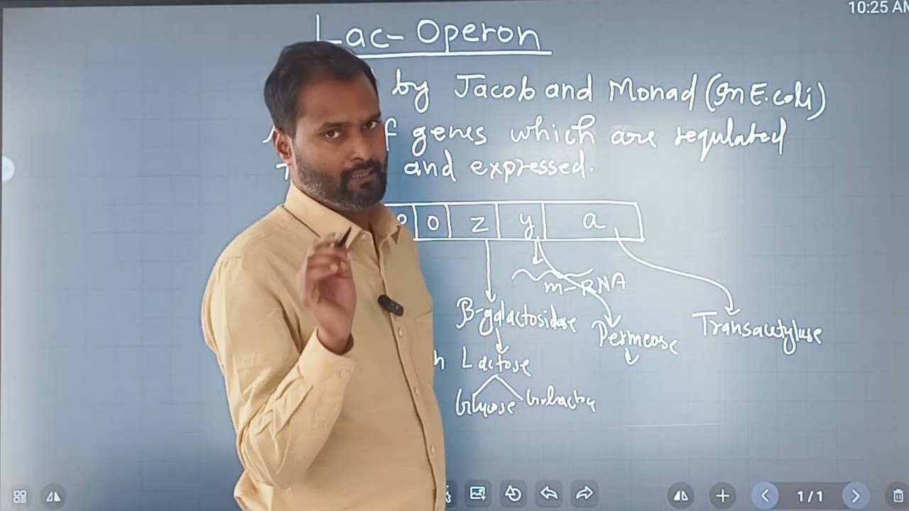 Chapter: Molecular Basis of Inheritance l Topic : Lac - Operon l NEET l CBSE Boards l 