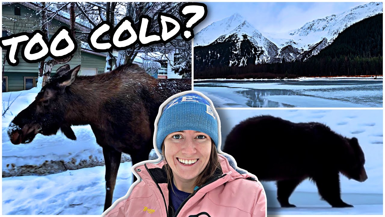 TOURING the TURNAGAIN ARM [Winter in Alaska!]