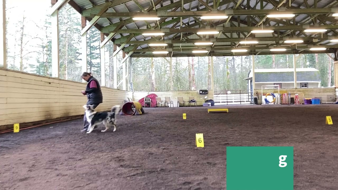 Dog Agility - Front Cross Handler Training - Beginning Foundation Agility BFA 3