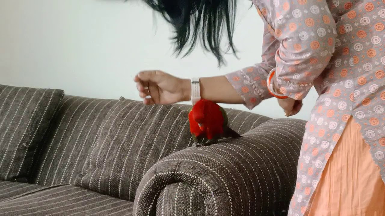 🦜I love my Family...❤️🐕👨‍👩‍👧‍👦