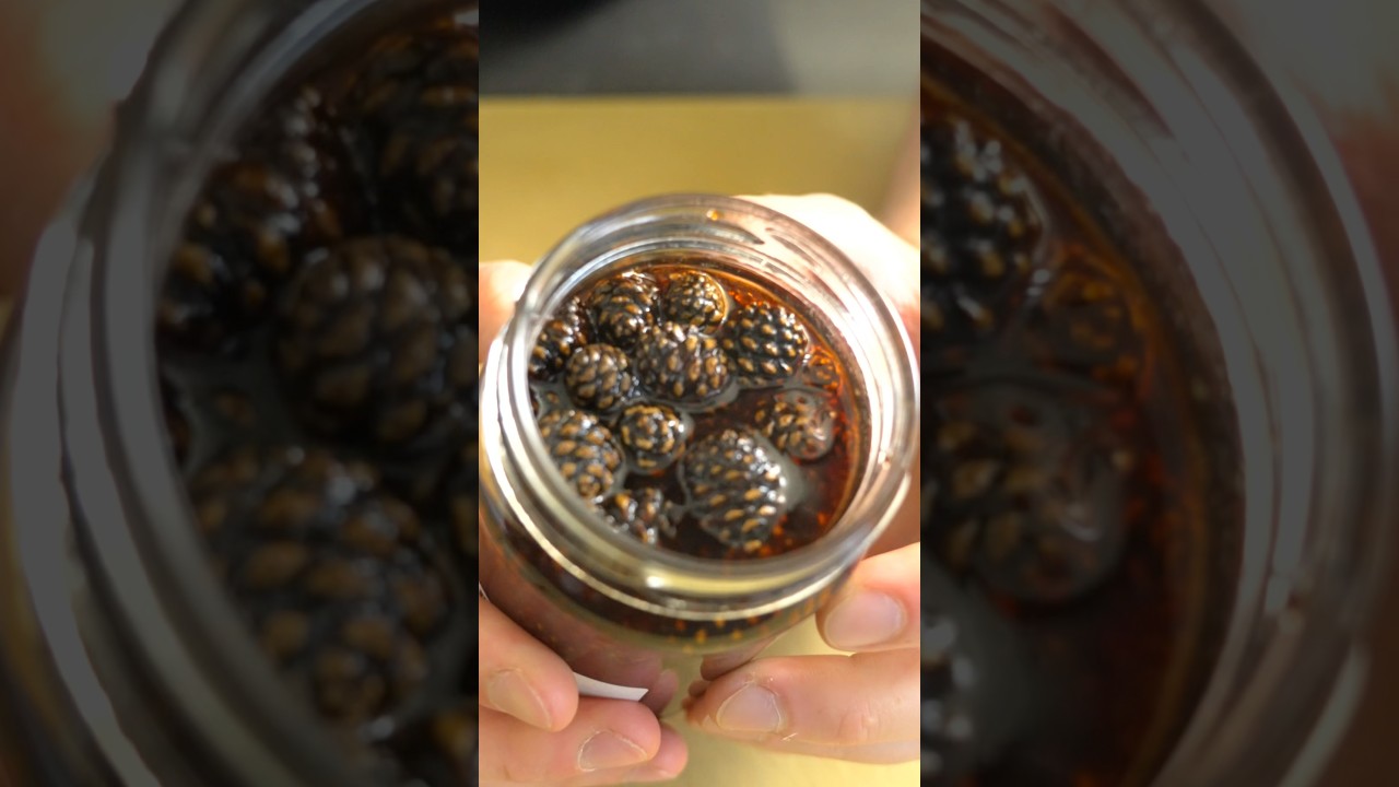 Pinecone Jam… it’s a thing.