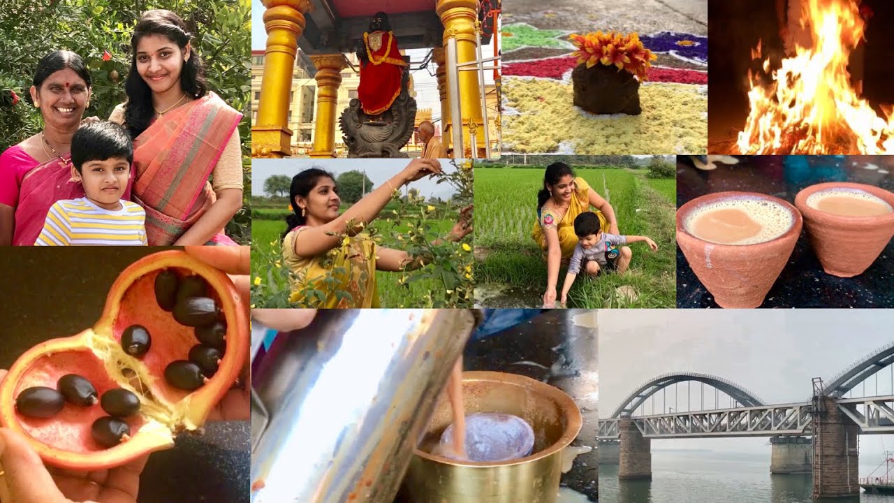 Sankranthi Special Vlog 2019 | ఈ Fruit 🍈 ఎంతమందికి తెలుసు-Tandoori Tea Preparation-Vlogs in Telugu