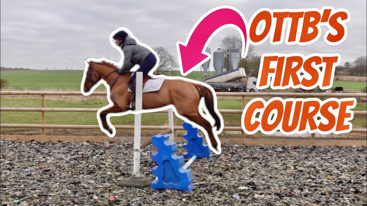 JUMP TRAINING AT HOME - LESSON 4 | OTTB Retraining | Footluce Eventing