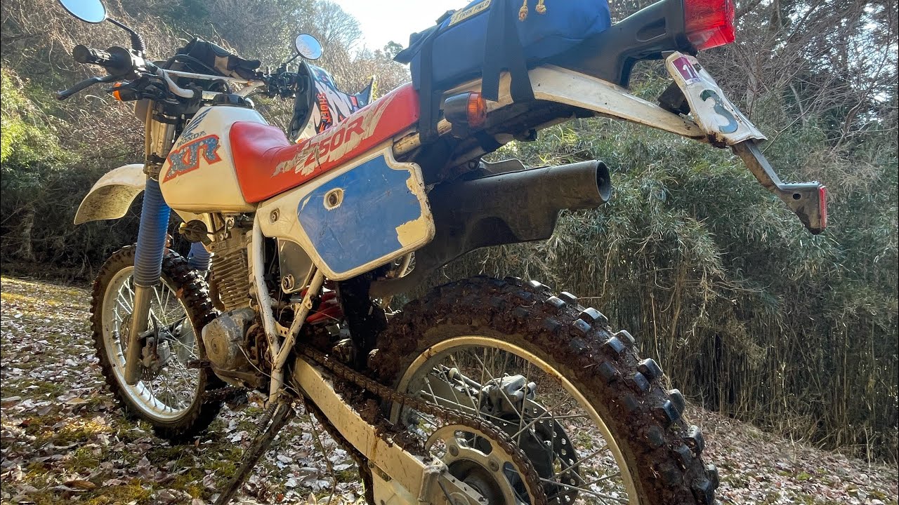 静岡県　林道北箱根山支線③ 2026年2月　XR250