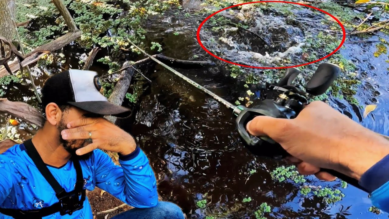 🚨 Eu não esperava por isso!! UM GIGANTE Inesperado na isca para Traíra 🔥