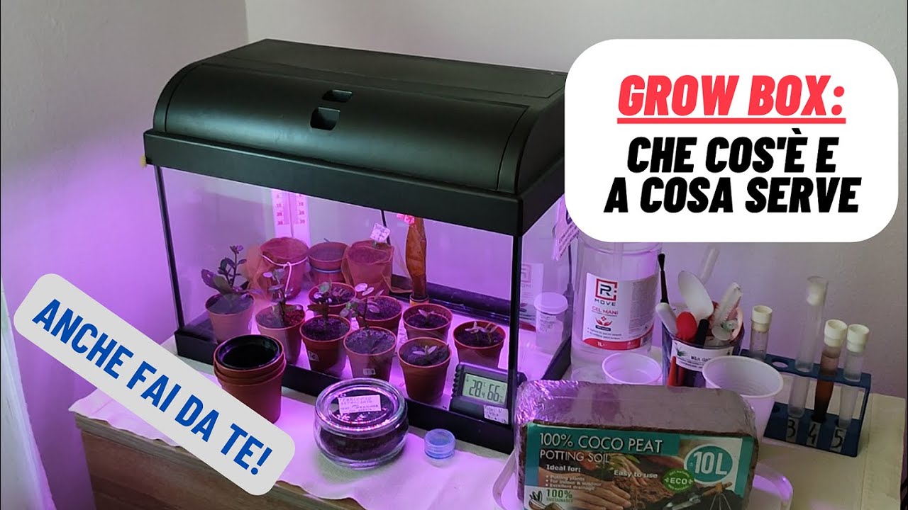 A cosa serve una GROW BOX - Consigli e fai da te! - W&A Gardens: orto e giardino