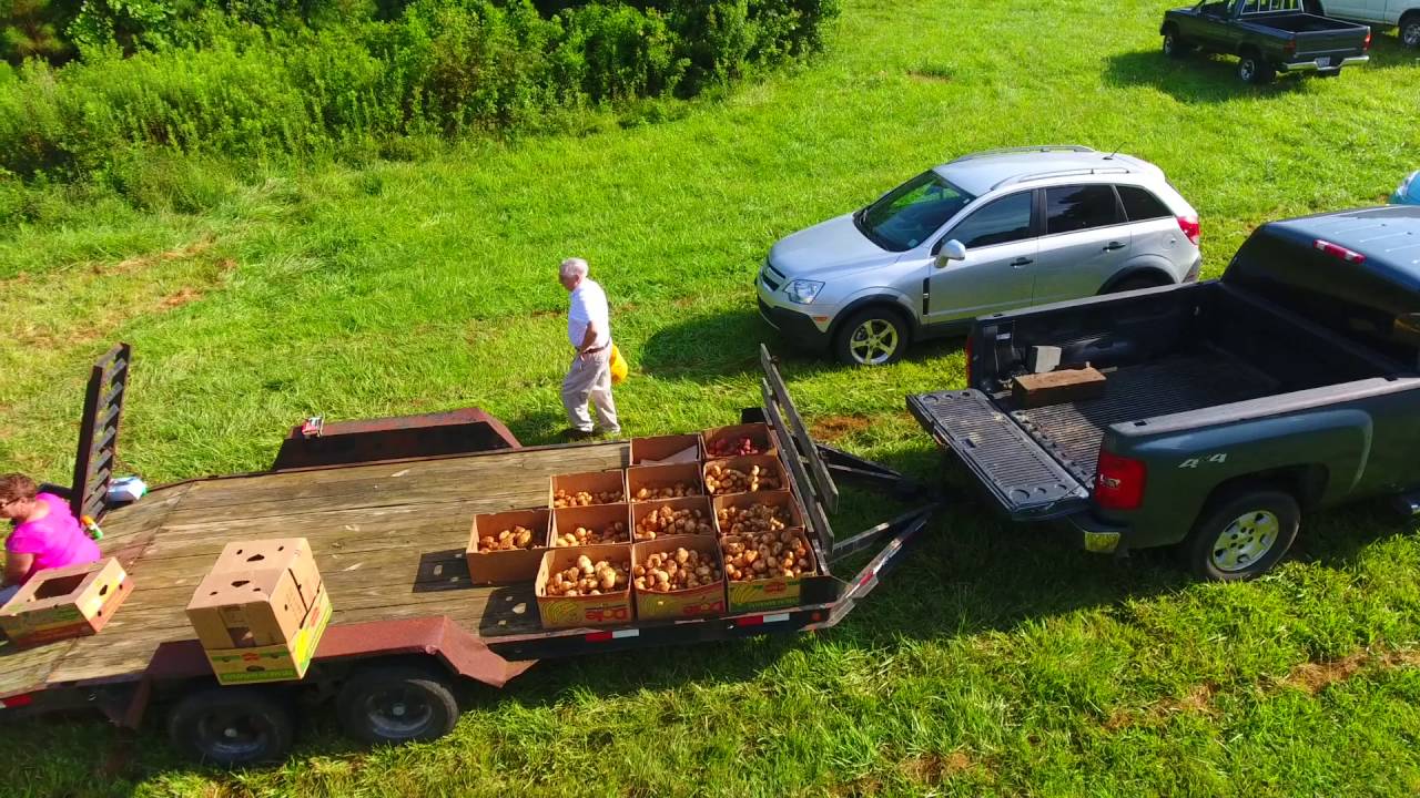 Tater Dig 2016... dji Phantom 4