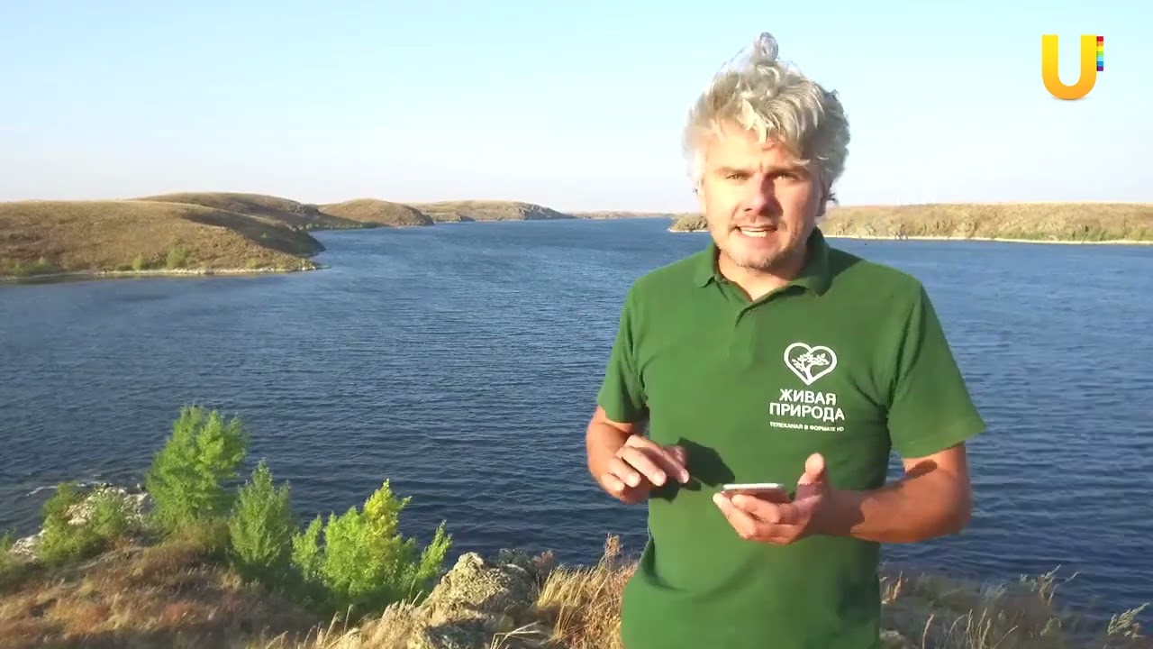 Оренбургская область, Ириклинское водохранилище, река Урал | За порогом
