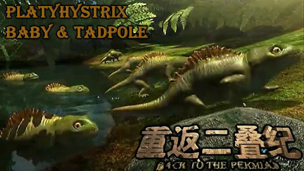 back to the Permian Platyhystrix baby and Tadpole screen time