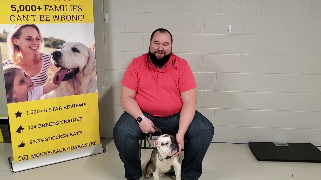 Dog Training Troy MI | Tip Top K9 Reviews