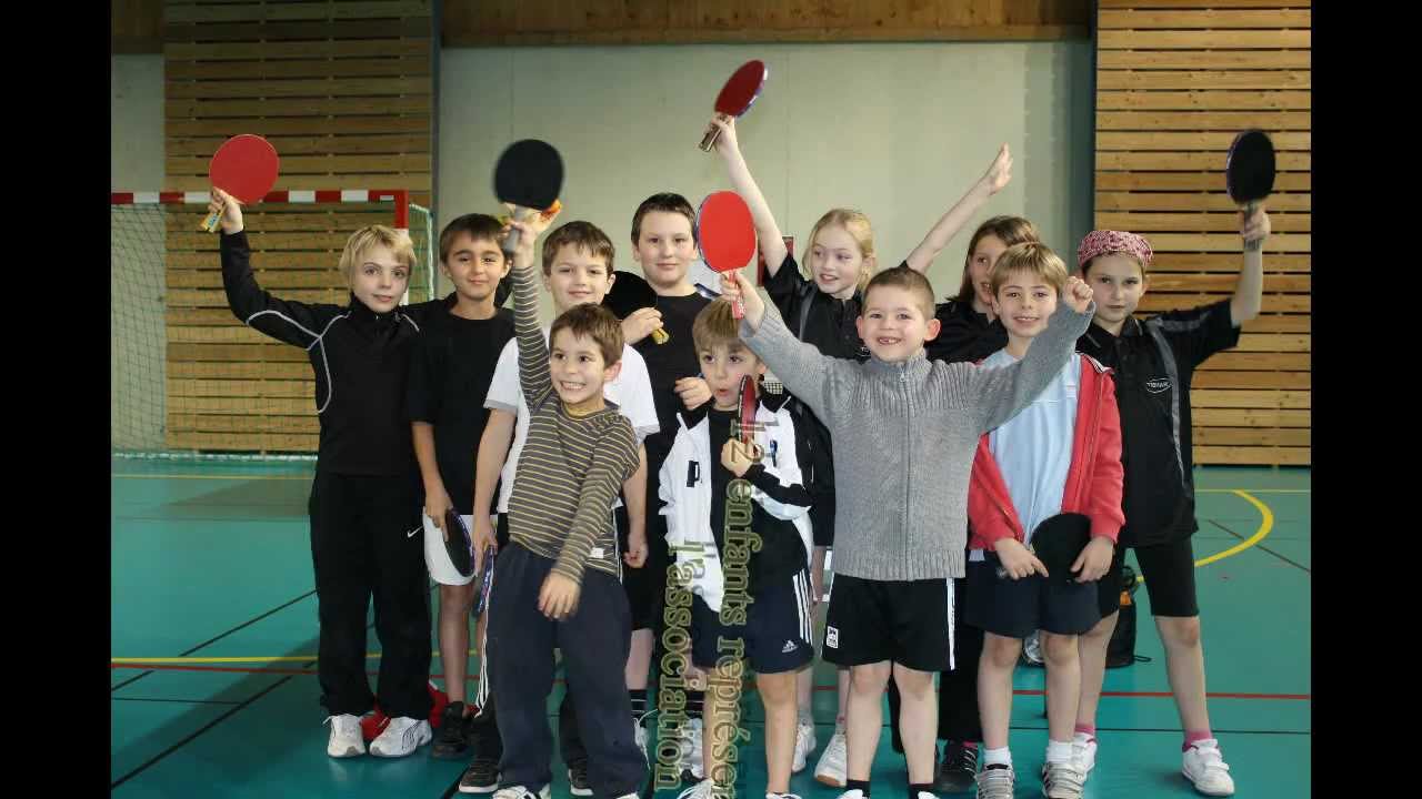 bilan sportif 2011-2012.mpeg