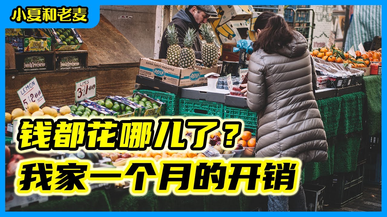 一家三口一年要花多少钱？2024年的生活费预算是多少？美国生活成本有多高？ 投资理财
